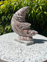 Load image into Gallery viewer, Pink Zebra Moon (XL) Moon