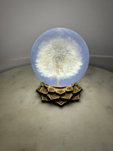 Load image into Gallery viewer, Lotus Wooden (S) White Light Sphere Stand