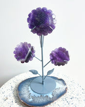 Load image into Gallery viewer, Dream Amethyst High Grade Sunflowers
